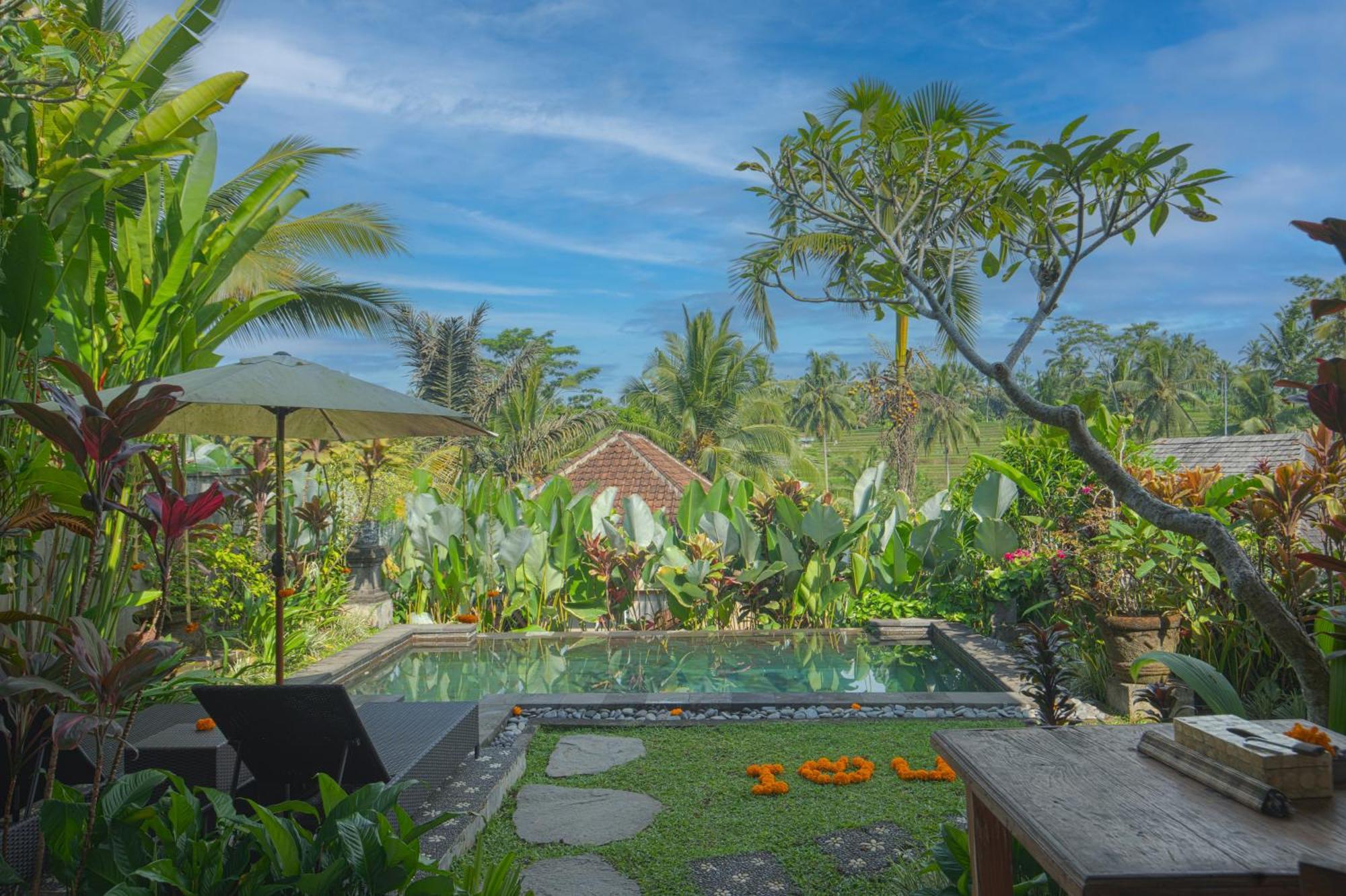 Taluh Bebek Ubud Private Villas Exteriér fotografie