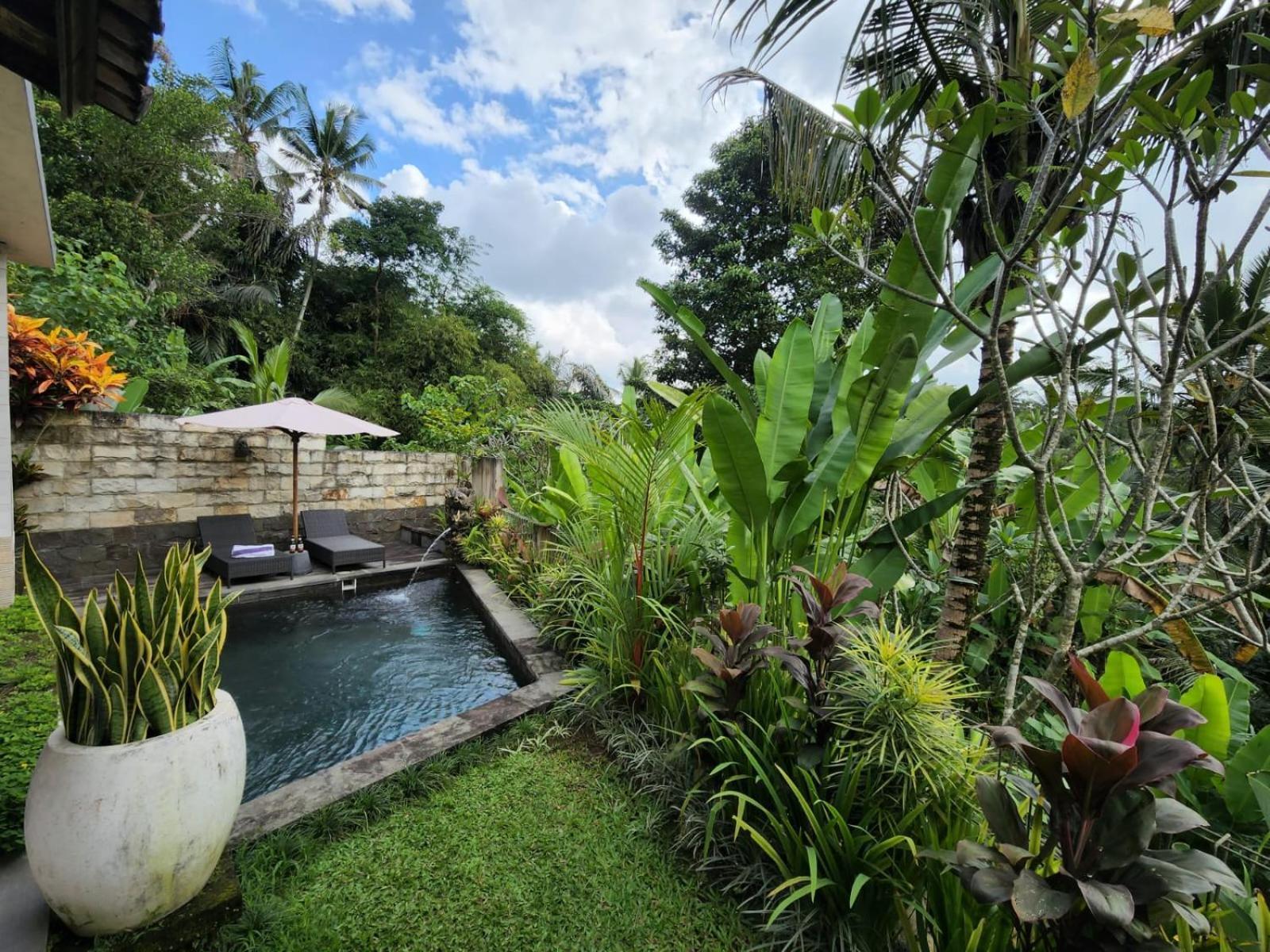 Taluh Bebek Ubud Private Villas Exteriér fotografie